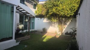 08 jardin