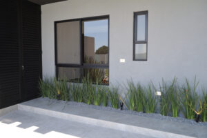 dsc 1408